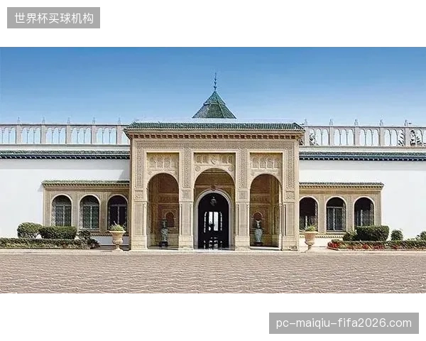 本·斯利马内展现出巨大的潜力，他的突破和创造力或将成为突尼斯进攻端的奇兵。